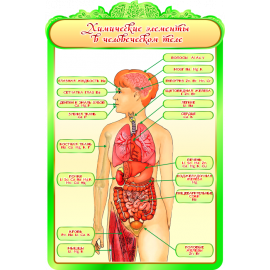 Стенд Химические элементы в человеческом теле для кабинета Биологии в зеленых тонах