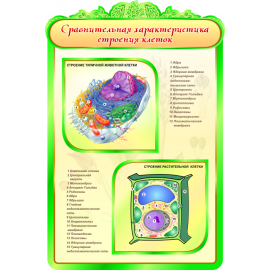 Стенд Сравнительная характеристика строения клеток для кабинета Биологии в зеленых тонах