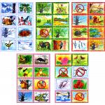 Календарь природы с карточками для группы Звездочки